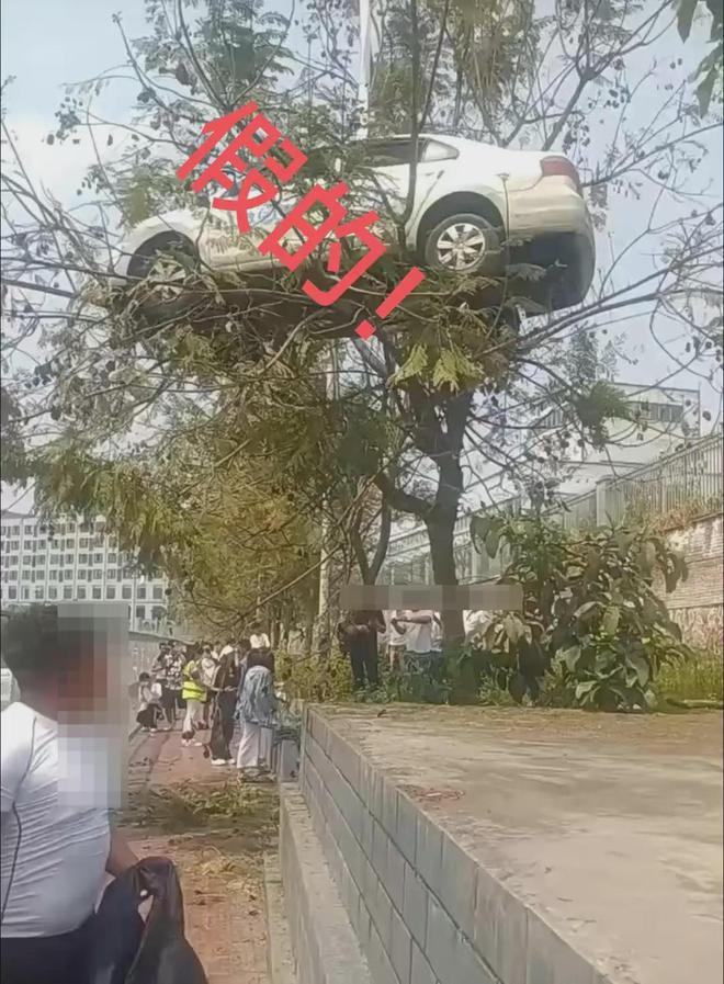 的！确认系摆拍丨新闻早餐AG真人大反转！竟然是假(图2)